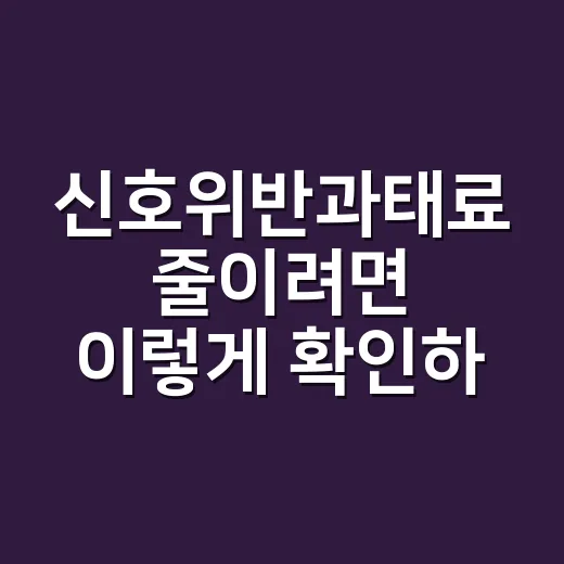 신호위반과태료 줄이려면 이렇게 확인하세요 - 요약