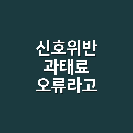신호위반 과태료 오류라고 느껴질 때 확인하고 바로잡는 방법 - 요약