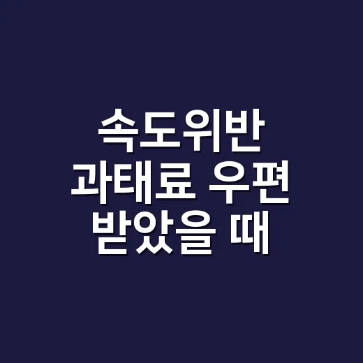 속도위반 과태료 우편 받았을 때 처리하는 방법 - 요약