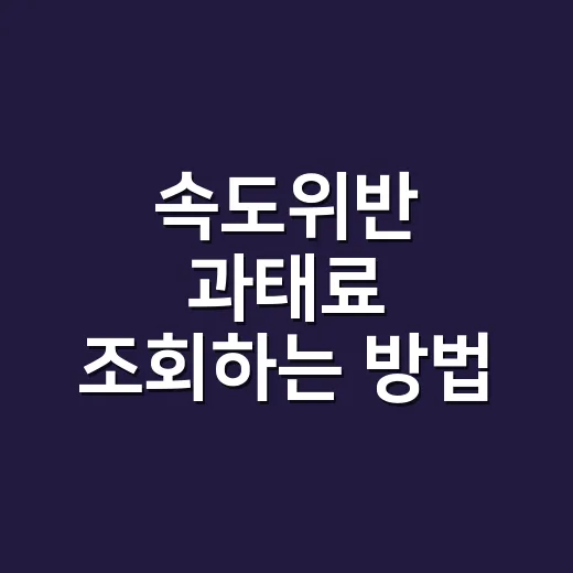 속도위반 과태료 조회하는 방법, 고지서 오기 전에 이렇게 확인하세요 - 요약