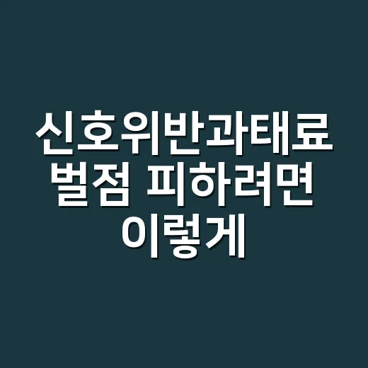 신호위반과태료 벌점 피하려면 이렇게 구분하세요 - 요약