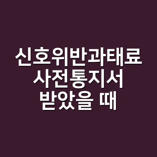 신호위반과태료 사전통지서 받았을 때 처리하는 방법 - 요약