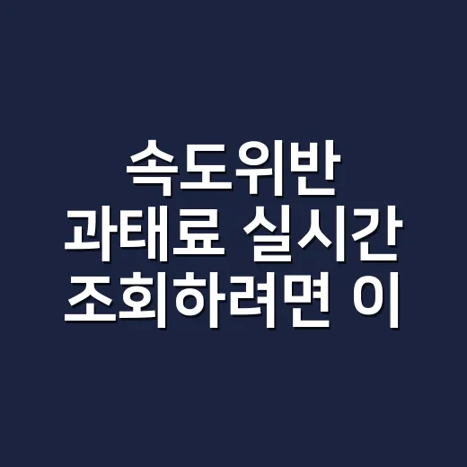 속도위반 과태료 실시간 조회하려면 이렇게 확인하세요