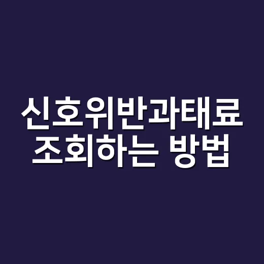신호위반과태료 조회하는 방법, 고지서 오기 전 이렇게 확인하세요 - 요약