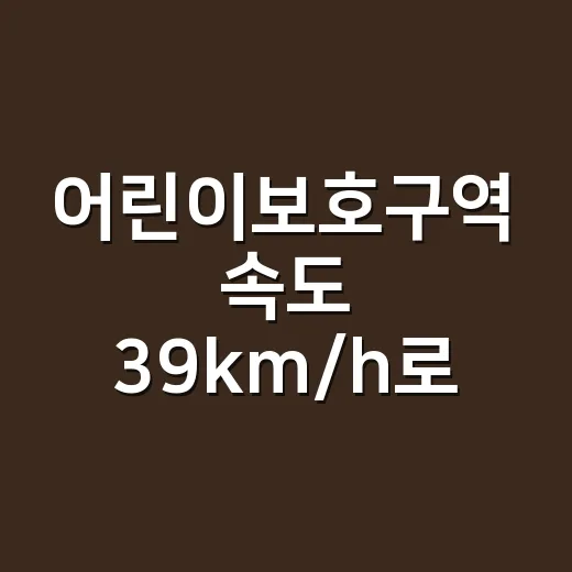 어린이보호구역 속도 39km/h로 지나갔다면 이렇게 확인하는 방법 - 요약