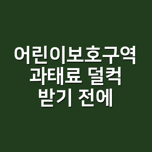 어린이보호구역 과태료 덜컥 받기 전에 확인하는 방법 - 요약