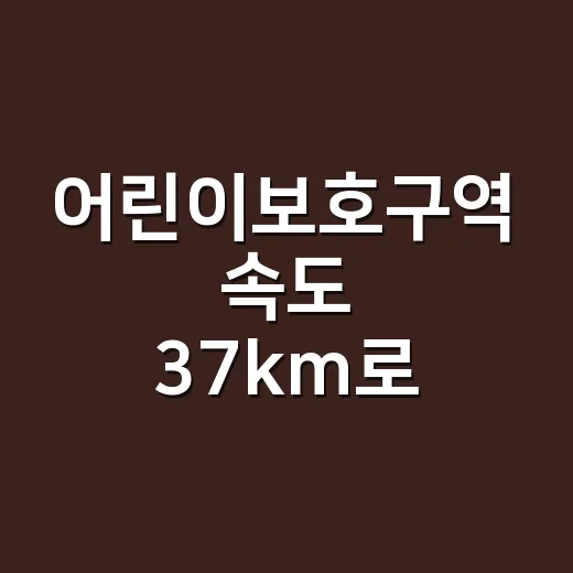 어린이보호구역 속도 37km로 찍혔다면 처리하는 방법 - 요약