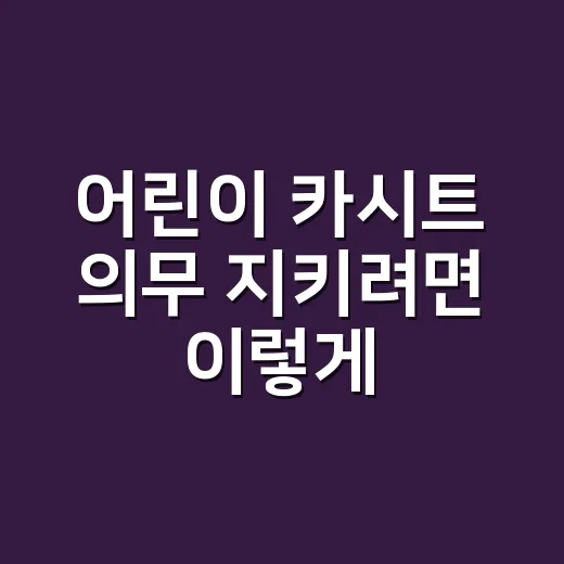 어린이 카시트 의무 지키려면 이렇게 태우면 됩니다 - 요약