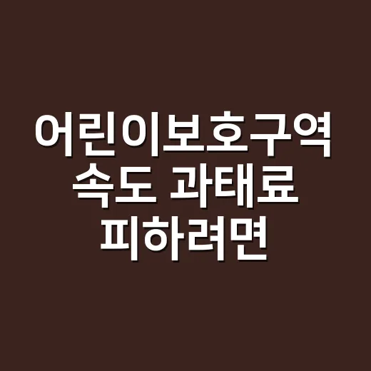 어린이보호구역 속도 과태료 피하려면 이렇게 확인하세요 - 요약