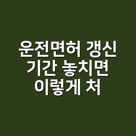 운전면허 갱신 기간 놓치면 이렇게 처리하면 됩니다 - 요약