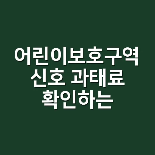어린이보호구역 신호 과태료 확인하는 방법, 고지서 받기 전 알아야 할 기준 - 요약