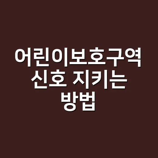 어린이보호구역 신호 지키는 방법, 초보자가 헷갈리는 순간부터 잡아야 합니다 - 요약