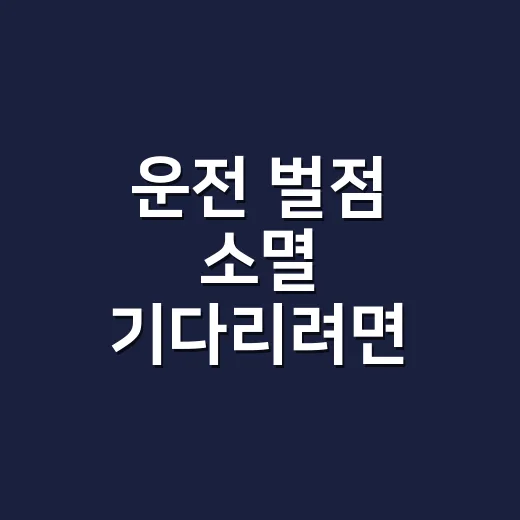 운전 벌점 소멸 기다리려면 이렇게 계산하세요 - 요약