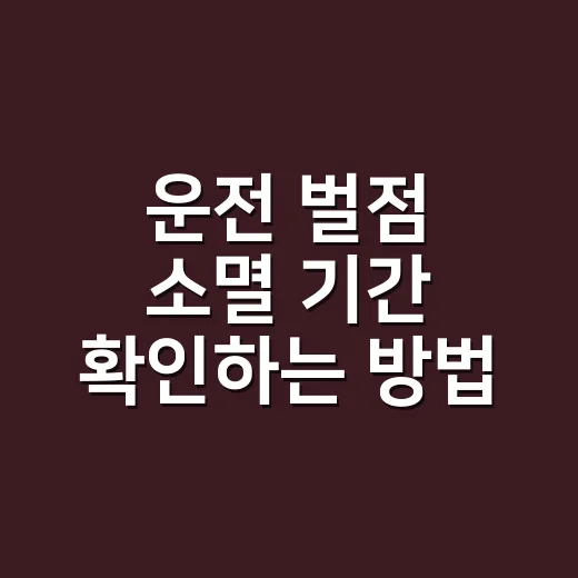 운전 벌점 소멸 기간 확인하는 방법, 40점 전에 이렇게 관리하세요 - 요약