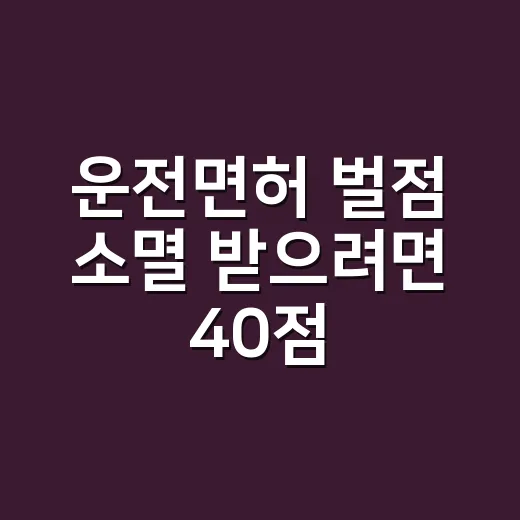 운전면허 벌점 소멸 받으려면 40점 전에 이렇게 관리하세요
