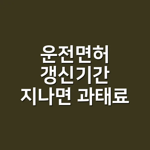 운전면허 갱신기간 지나면 과태료·취소 피하려면 이렇게 처리하세요 - 요약