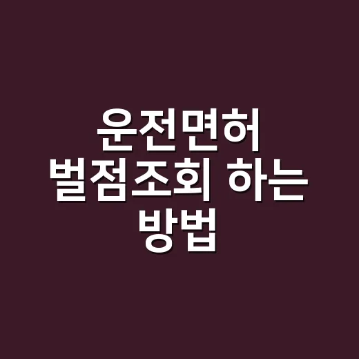 운전면허 벌점조회 하는 방법, 정지 전에 먼저 확인하는 순서