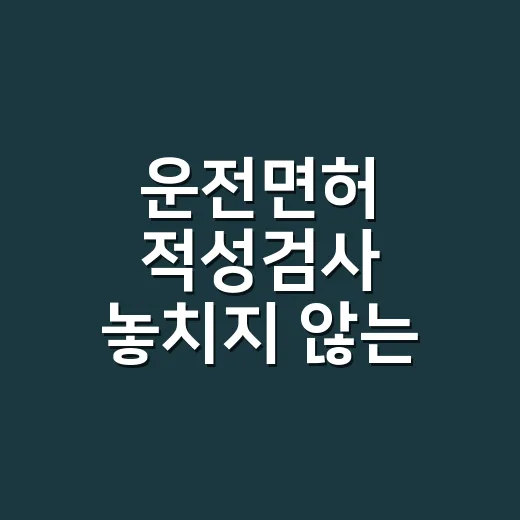 운전면허 적성검사 놓치지 않는 방법, 1종·2종 기준부터 과태료까지