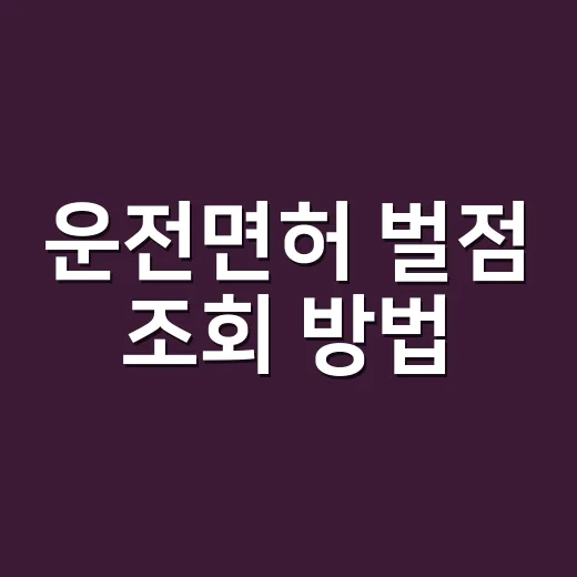 운전면허 벌점 조회 방법, 정지 전에 확인하려면 이렇게
