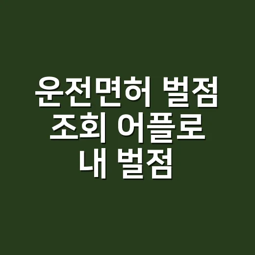 운전면허 벌점 조회 어플로 내 벌점 확인하는 방법