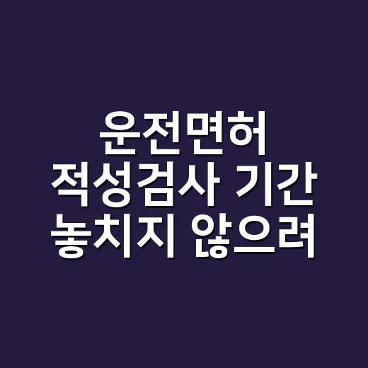 운전면허 적성검사 기간 놓치지 않으려면 이렇게 확인하세요