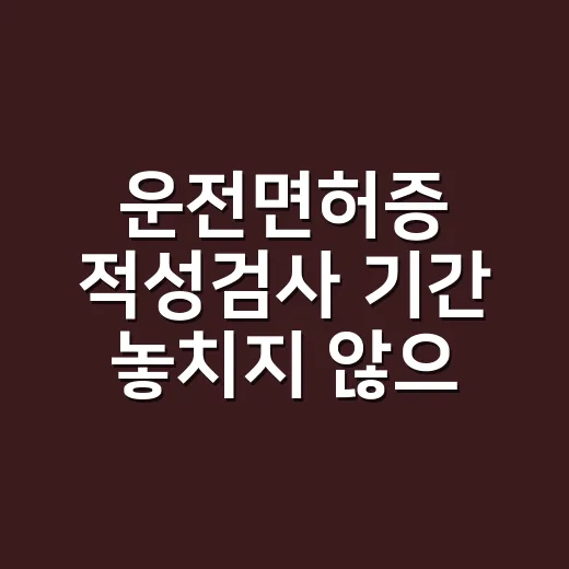 운전면허증 적성검사 기간 놓치지 않으려면 이렇게 확인하세요