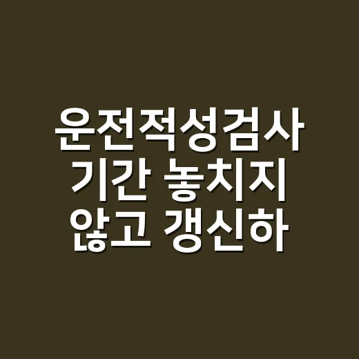 운전적성검사 기간 놓치지 않고 갱신하는 방법 - 요약