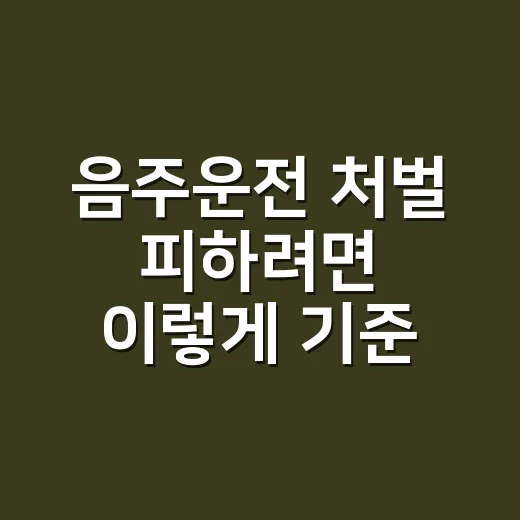 음주운전 처벌 피하려면 이렇게 기준 숫자부터 외워야 합니다 - 요약