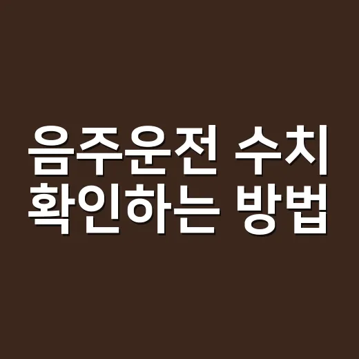 음주운전 수치 확인하는 방법, 0.03부터 이렇게 달라집니다 - 요약