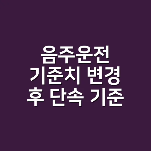 음주운전 기준치 변경 후 단속 기준 확인하는 방법 - 요약