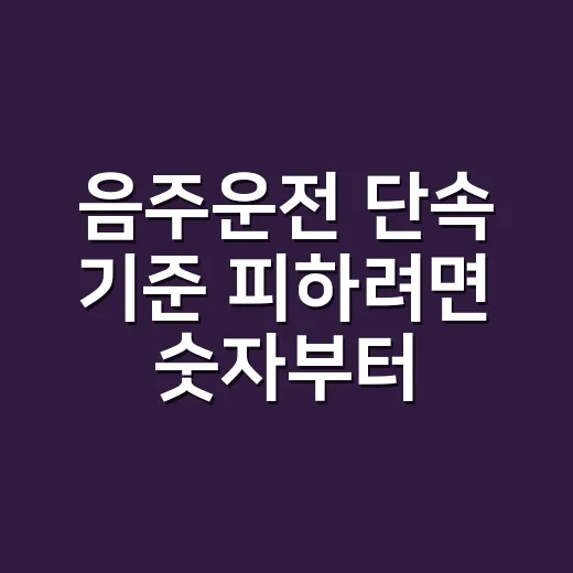 음주운전 단속 기준 피하려면 숫자부터 이렇게 보세요 - 요약