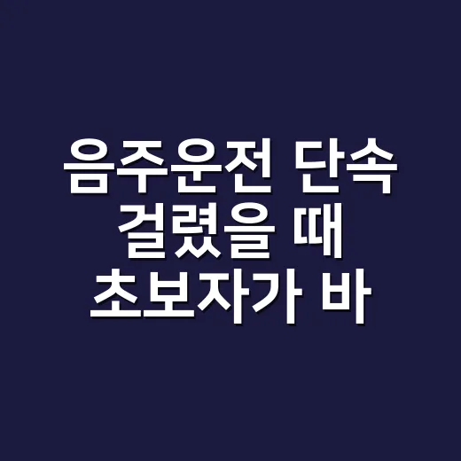 음주운전 단속 걸렸을 때 초보자가 바로 확인하는 방법 - 요약