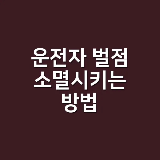운전자 벌점 소멸시키는 방법, 40점 넘기기 전에 이렇게 관리하세요 - 요약
