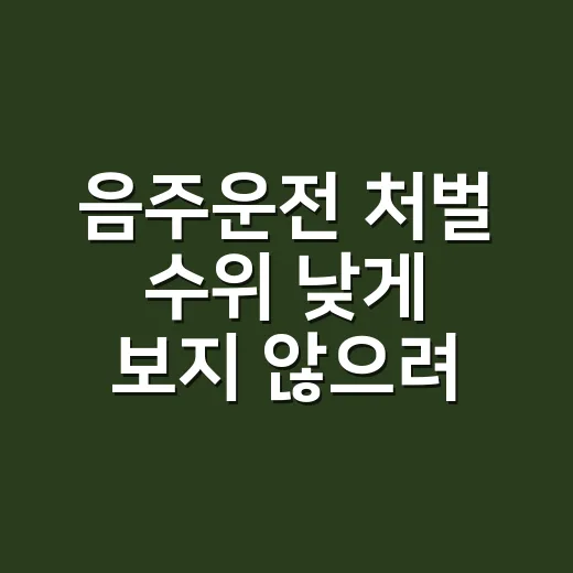 음주운전 처벌 수위 낮게 보지 않으려면 이렇게 확인하세요 - 요약