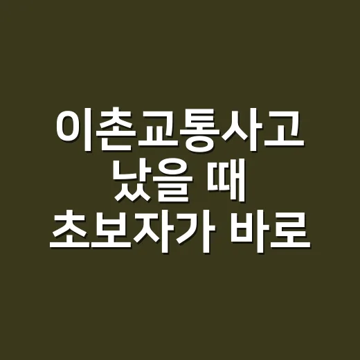 이촌교통사고 났을 때 초보자가 바로 처리하는 방법 - 요약