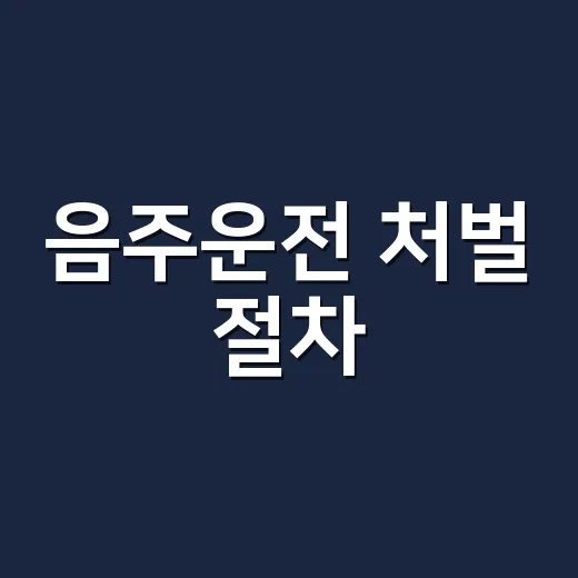 음주운전 처벌 절차, 적발부터 면허처분까지 초보자가 놓치지 않는 방법 - 요약