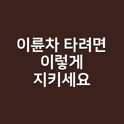 이륜차 타려면 이렇게 지키세요: 면허, 안전모, 범칙금 기준 - 요약