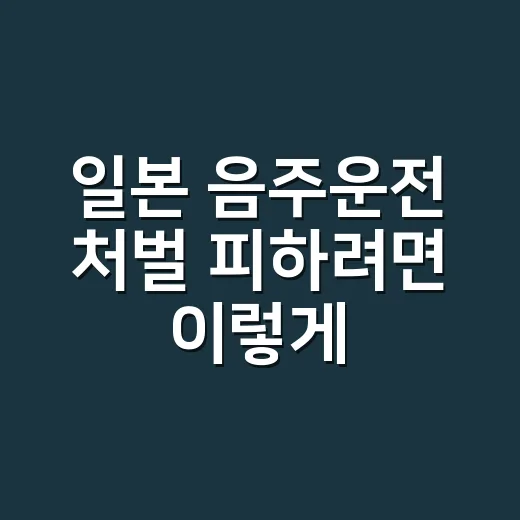 일본 음주운전 처벌 피하려면 이렇게 알아야 합니다 - 요약