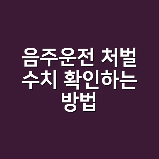 음주운전 처벌 수치 확인하는 방법, 0.03부터 면허가 흔들립니다 - 요약