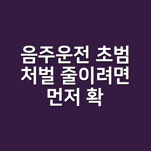 음주운전 초범 처벌 줄이려면 먼저 확인해야 할 순서 - 요약