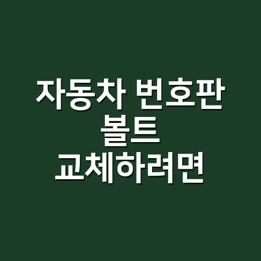 자동차 번호판 볼트 교체하려면 이렇게 하세요 - 요약