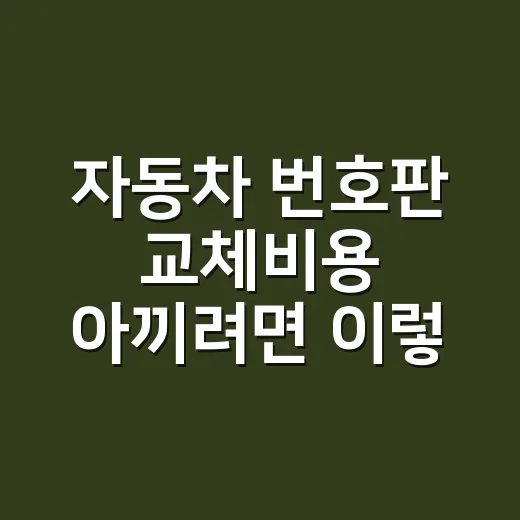 자동차 번호판 교체비용 아끼려면 이렇게 준비하세요 - 요약