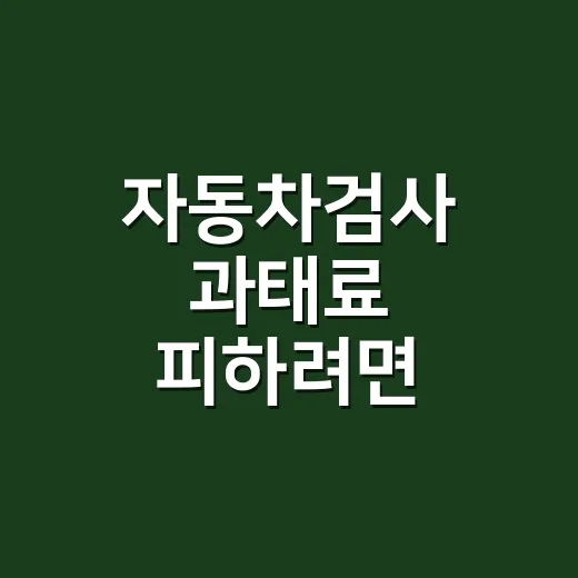 자동차검사 과태료 피하려면 이렇게 확인하고 예약하세요 - 요약