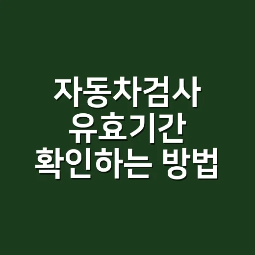 자동차검사 유효기간 확인하는 방법, 초보 운전자가 놓치면 바로 과태료입니다 - 요약