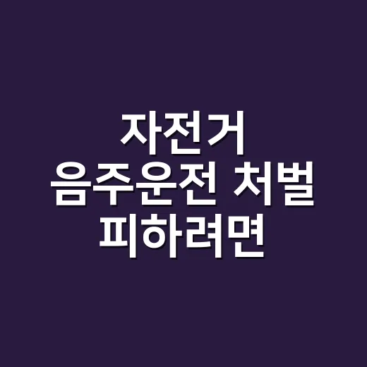 자전거 음주운전 처벌 피하려면 이렇게 확인하세요 - 요약