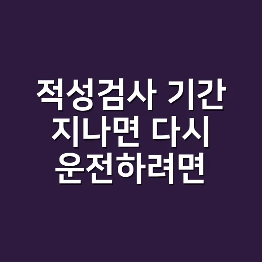 적성검사 기간 지나면 다시 운전하려면 이렇게 처리하세요 - 요약
