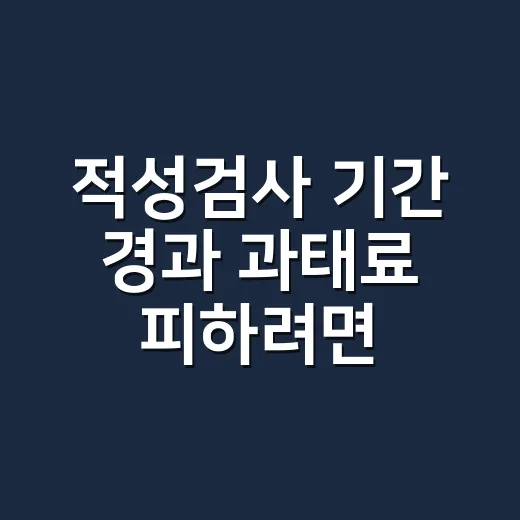 적성검사 기간 경과 과태료 피하려면 이렇게 확인하세요 - 요약