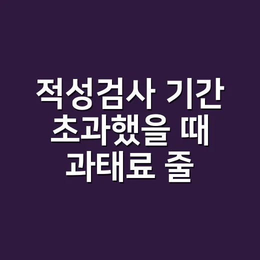 적성검사 기간 초과했을 때 과태료 줄이고 면허 지키는 방법 - 요약
