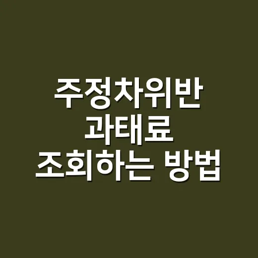 주정차위반 과태료 조회하는 방법, 차량번호로 먼저 확인하세요 - 요약