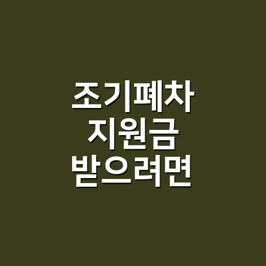 조기폐차 지원금 받으려면 이렇게 진행하면 됩니다 - 요약